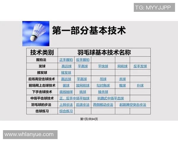 赵芳独家揭秘足球技巧与心得分享助你提升球技与战术理解