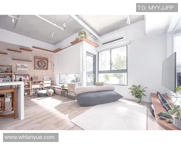 家居设计风格多样化如何选择适合自己的居住空间打造舒适与美观并存的家居环境